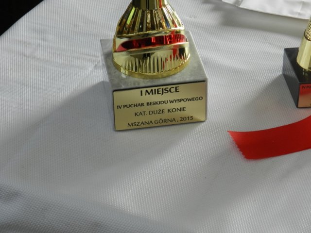 Rajd Mszana Górna 2015